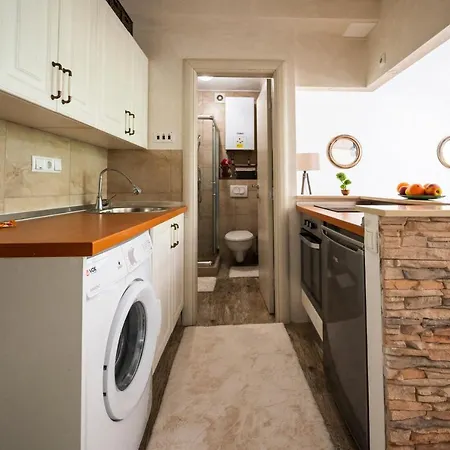 Apartment Design Near The Center *