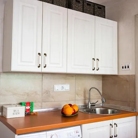 Apartment Design Near The Center